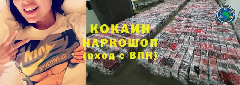 Cocaine FishScale  где купить наркотик  Каргат 